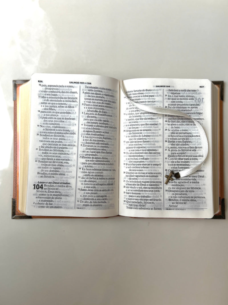 *27* Bíblia Pequena Couro Legítimo Caramelo Leão - PRONTA ENTREGA