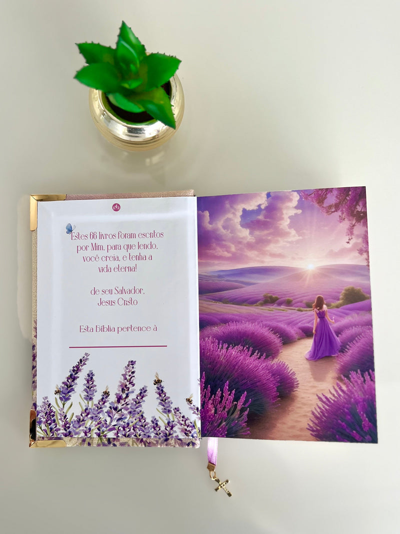 Combo Bíblia Linho Lavandas + placa grande + cartela de índice