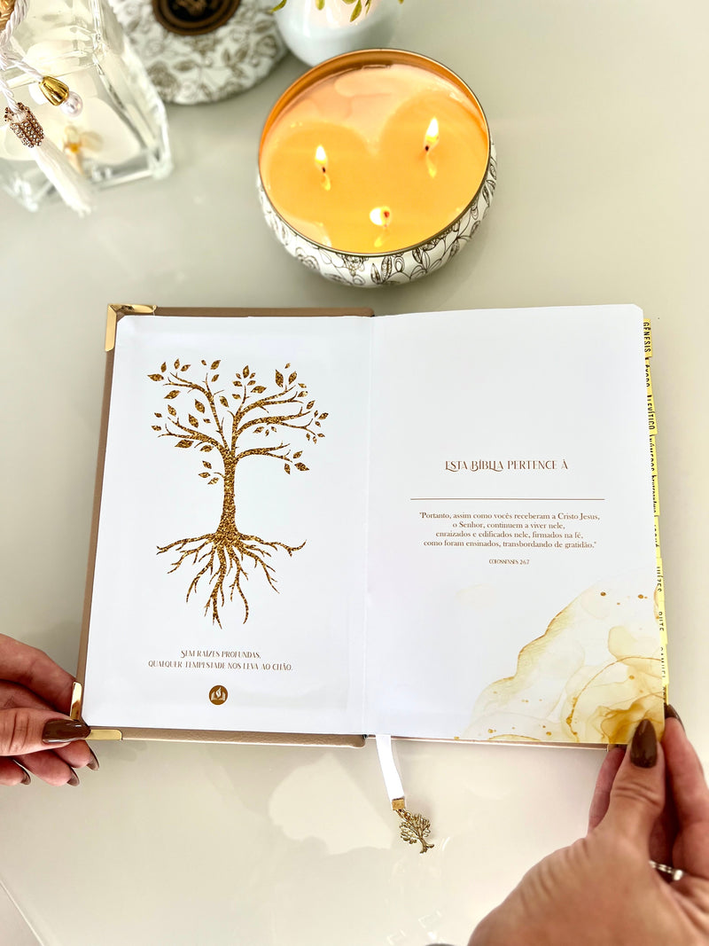 Combo Bíblia Courino Nude Arvore da Vida + Placa grande + cartela de índice