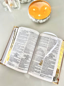 Combo Bíblia Courino Nude Pombinha do Espírito Santo + Placa grande + cartela de índice