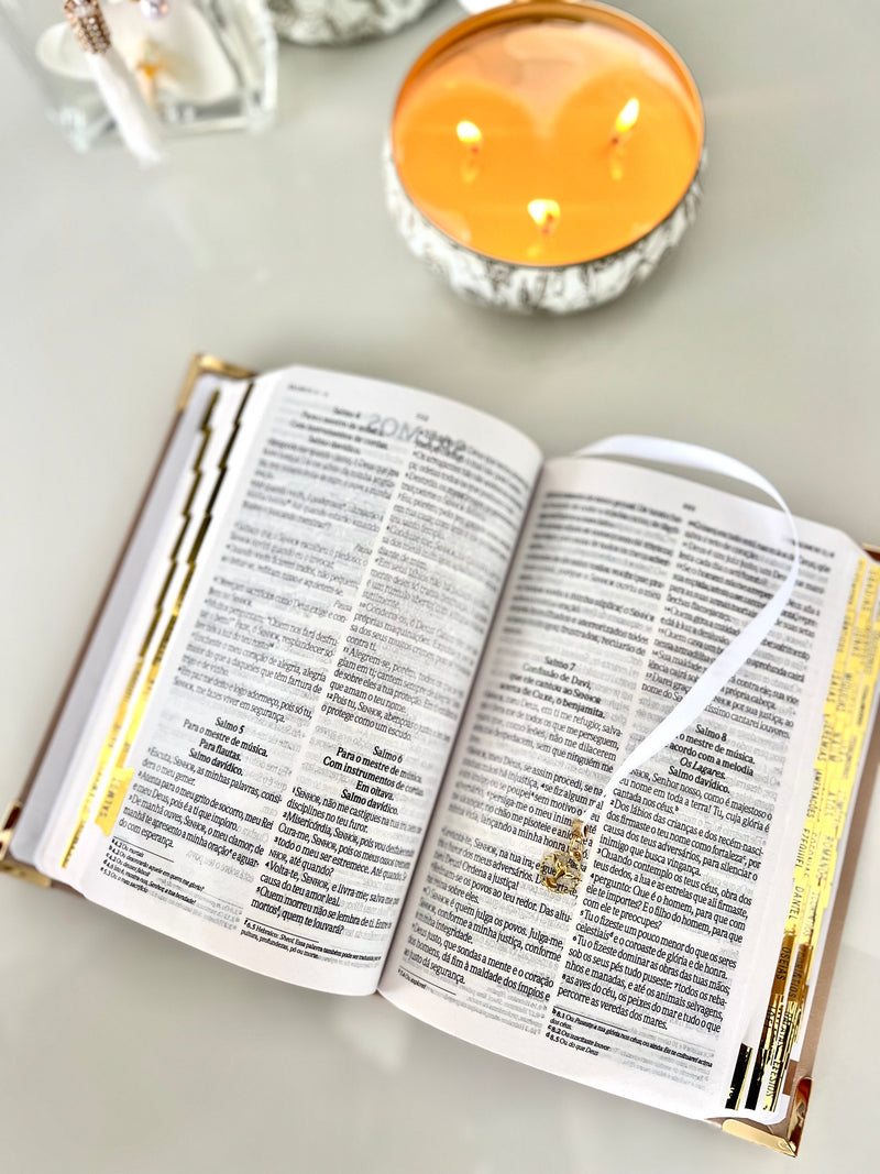 Combo Bíblia Courino Nude Pombinha do Espírito Santo + Placa grande + cartela de índice