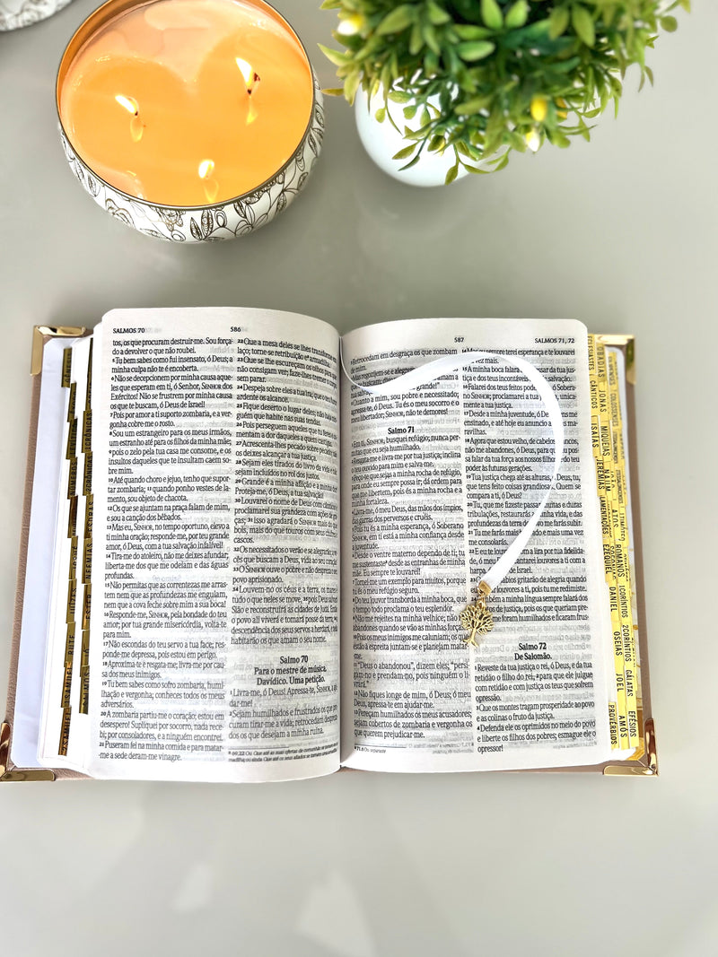 Combo Bíblia Courino Nude Arvore da Vida + Placa grande + cartela de índice