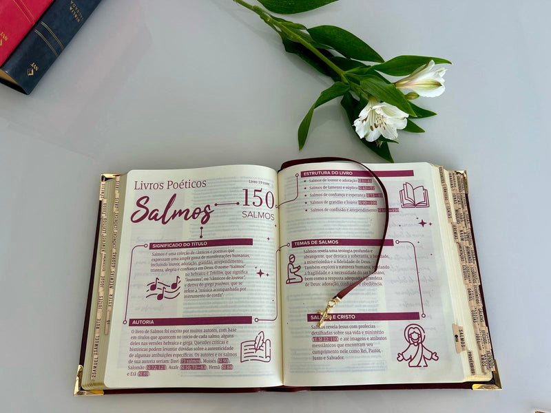 Combo Bíblia Mulheres - Viviane Martinello "Vintage Roxa"