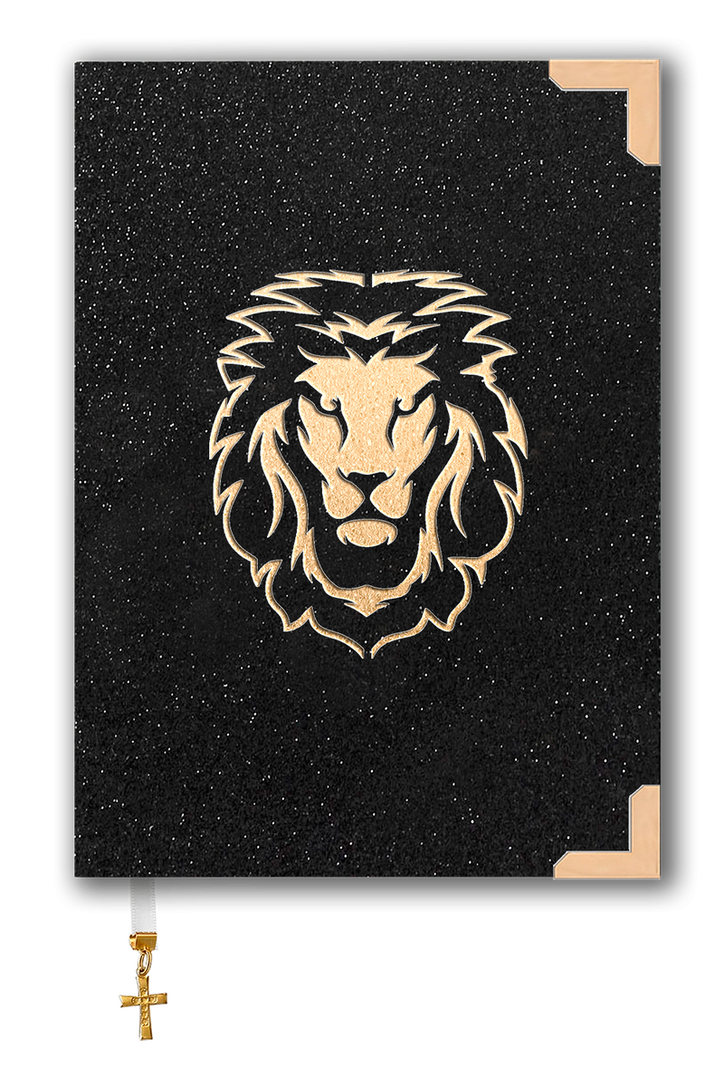 Bíblia Glitter Mar Negro Desenhos