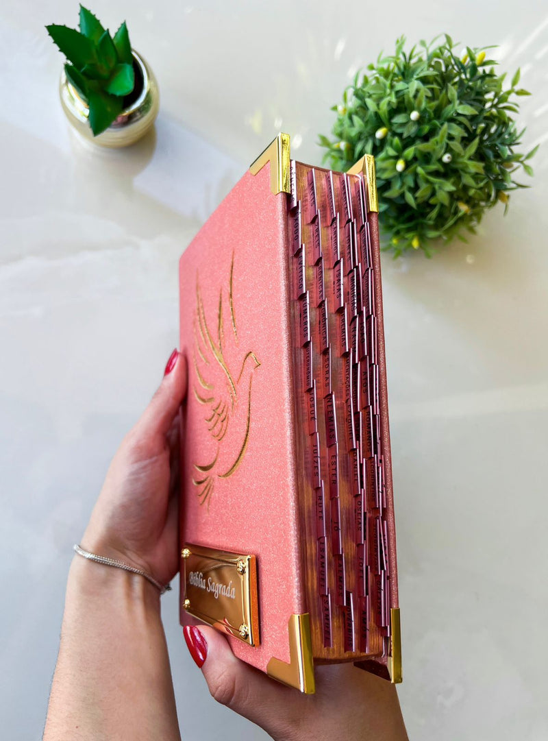 Combo Bíblia Pombinha do Espirito Santo glitter Rose + Placa Grande + Cartela de índice