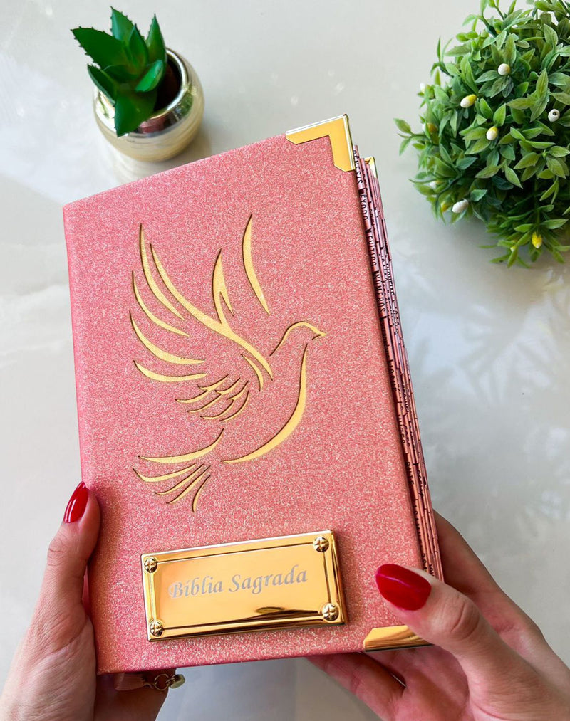 Combo Bíblia Pombinha do Espirito Santo glitter Rose + Placa Grande + Cartela de índice