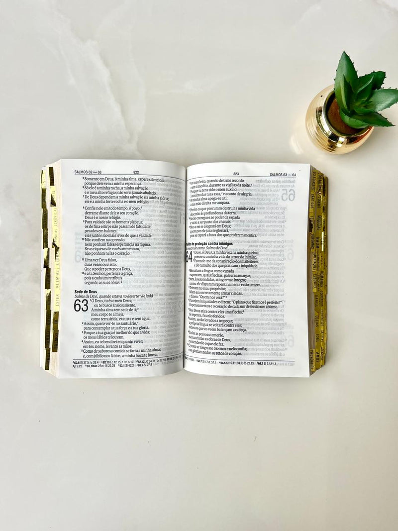 Combo Bíblia Courino Abelha na cor Branca + Cartela de índice + Plaquinha + 2 Pingentes